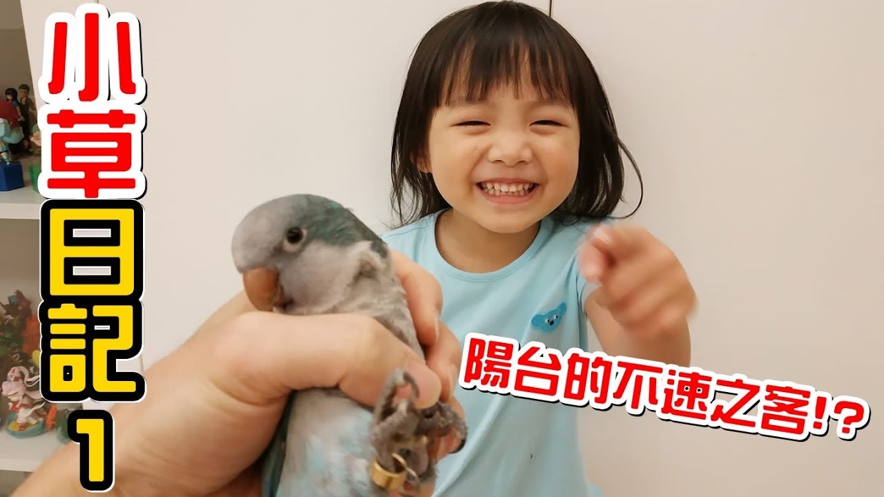 （小草日記1）有怪聲?陽台突然出現不速之客!