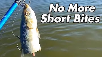 How to Tie a Double Hook Rig. (Monster Catfish Rig)