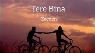 Tere Bina- Zaeden (Lyrics video)