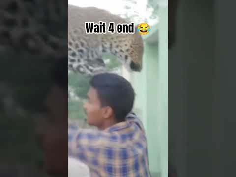 Wait 4 End Ll YouTube New Future Ll AI Video Generate Youtube