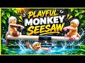 How Is This Moving By Itself? 🐒 Relaxing Stream [12/06]
