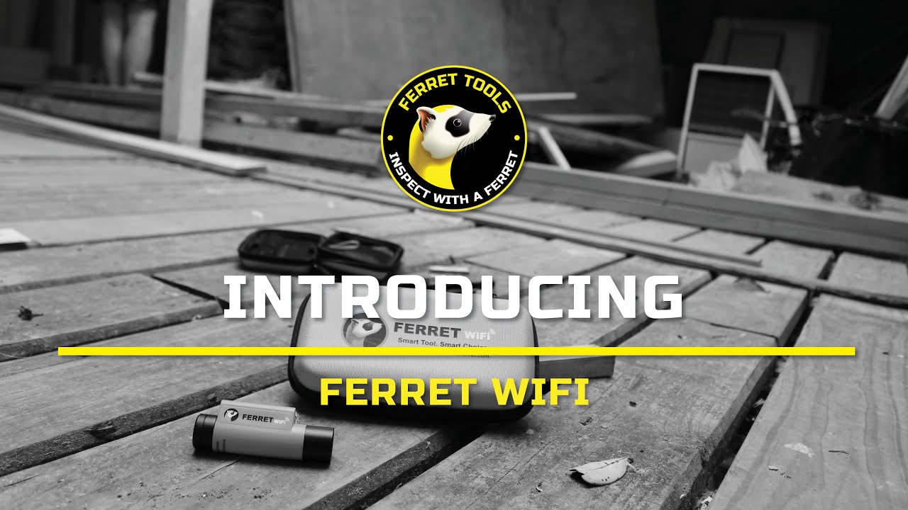 Introducing the Ferret WiFi YouTube