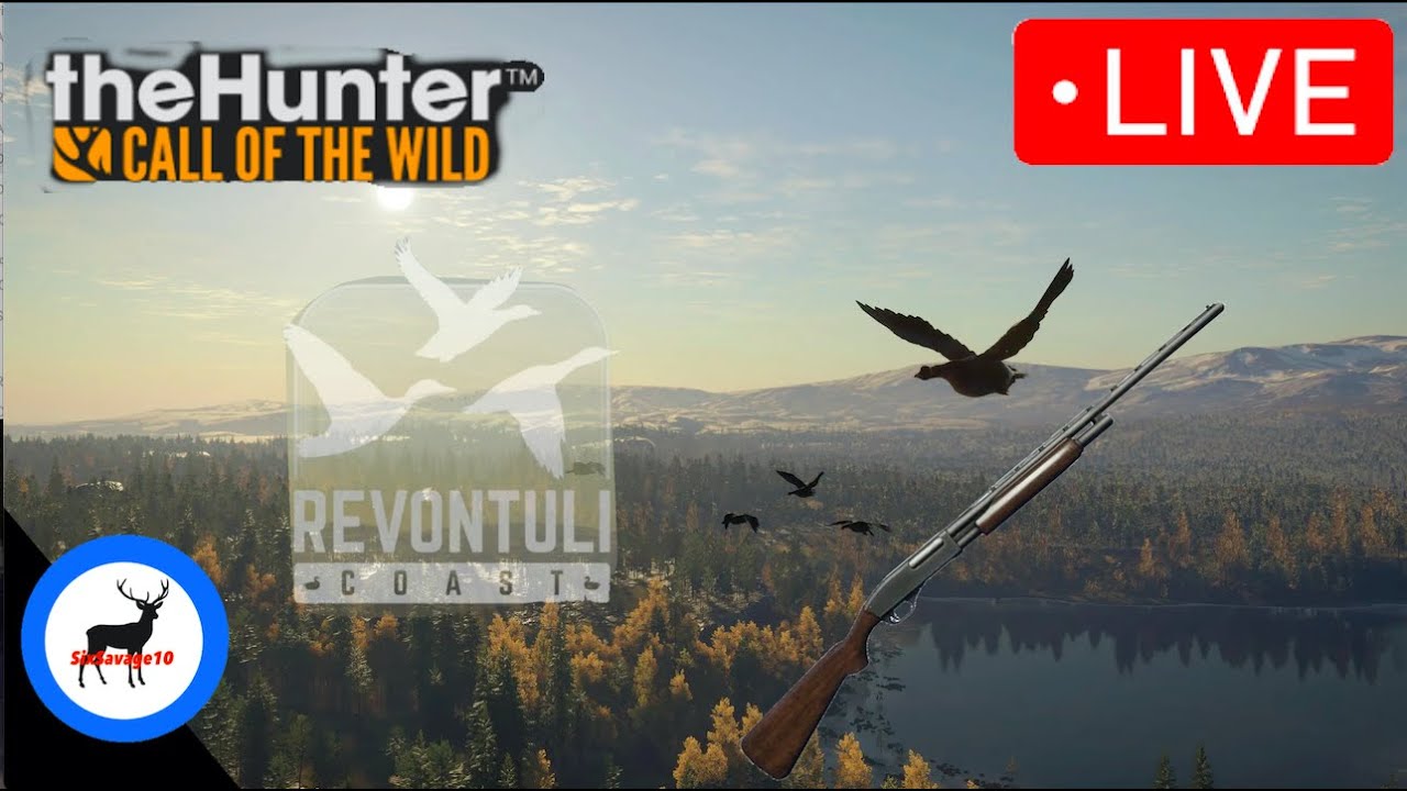 HUNTING DIAMONDS & RARE DUCKS & GEESE & MULTIPLAYER HOPING LATER
