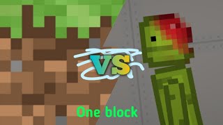 Minecraft VS Melon playground  [One block]