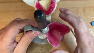 Imai Method Complete Denture リンゴ丸かじりができる 書籍詳細「リンゴ丸かじりができる Imai Method Complete Denture