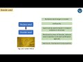 Seed Storage for ITK | Best Method Explained