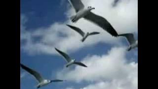 Kitaro-Milk Way