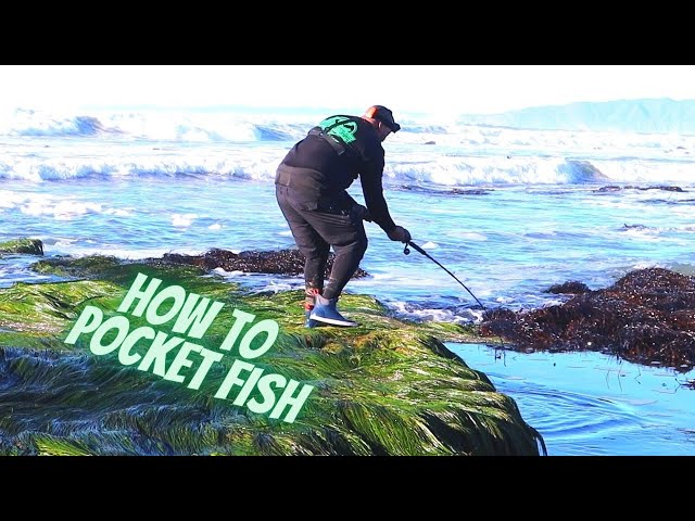 Amazing Pocket Fishing Kit [ NEW HACK! ] 