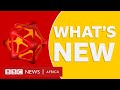 BBC Africa Jokate Mwegelo On Youth Leadership Plus GM Food And More Stories BBC What S New BBC Africa Jokate Mwegelo On Youth Leadership Plus GM Food And More Stories BBC What S New