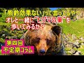 熊鈴効果あるのかないのか論争【すずしん工房コラム】第四回