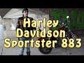 [Докатились!] Harley Davidson Sportster 883. Банка шпрот.