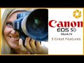 CANON 5D Mark IV - 5 features I REALLY LIKE for Wildlife Photography