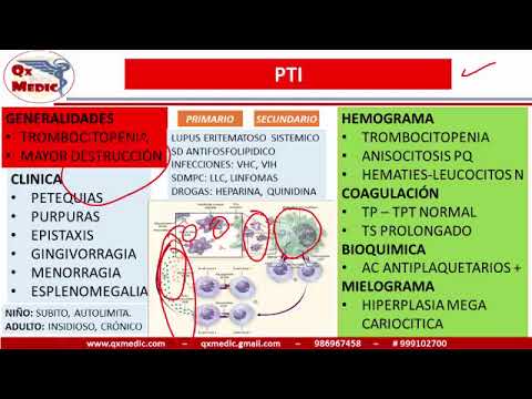 Vídeo: Diferencia Entre Trombocitopenia Y Hemofilia