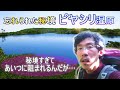 【ピヤシリ湿原】俺かヒグマを越えてゆけ!あいつらが多すぎて登山どころじゃないサバイバリストのピヤシリ湿原