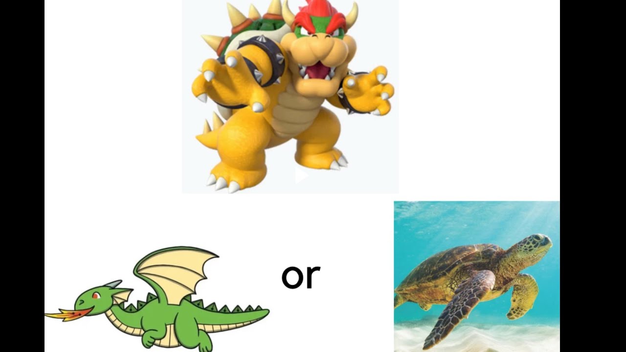 What is Bowser in Super Mario, a turtle or a dragon? - Quora