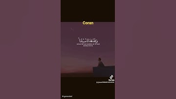 #اكسبلور قران كريم #المصحف #راحة_نفسية .CORAN     . القارىء اسلام صبحي #الرحمن .سورة ابراهيم