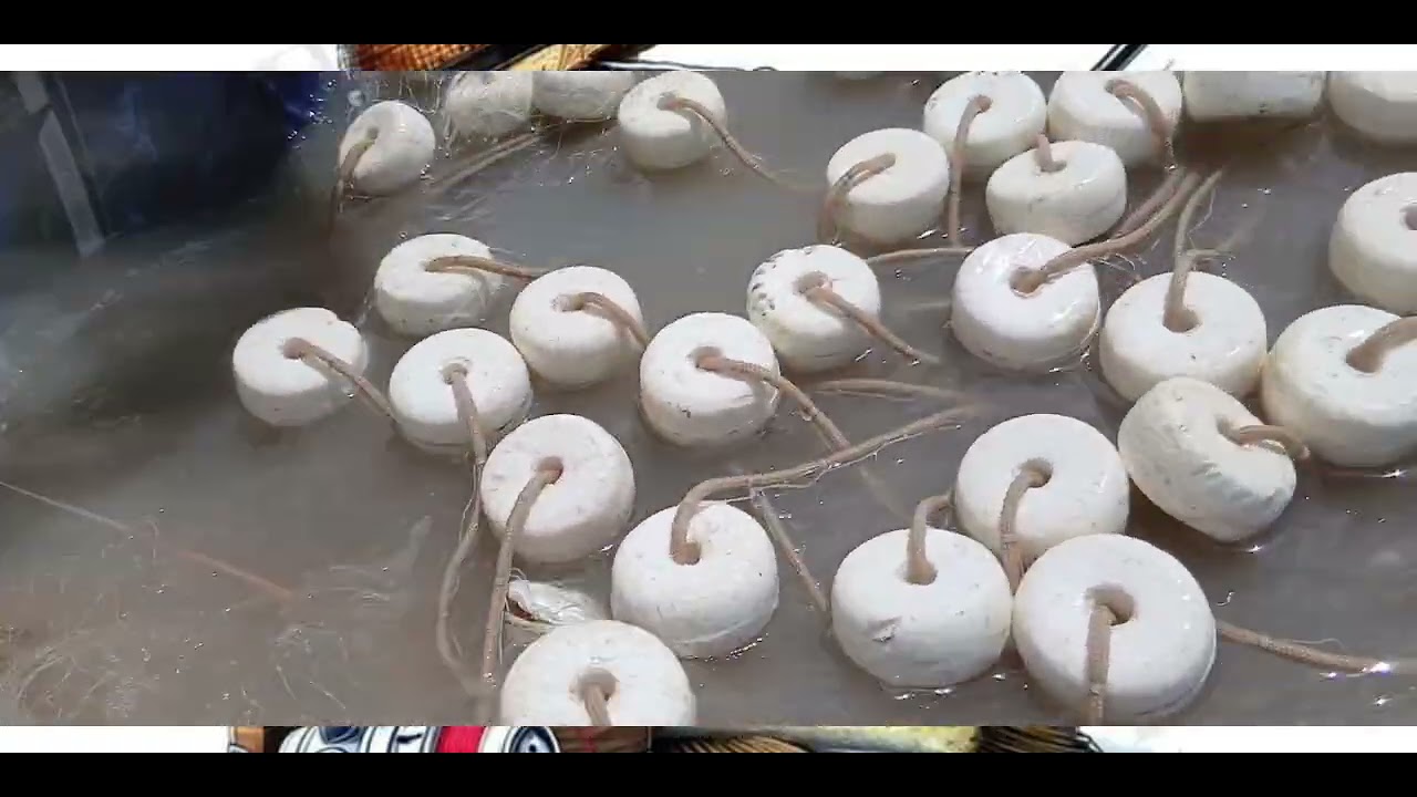 ##pescaria de camarão e peixe deu foi boa graças a Deus 🙌 