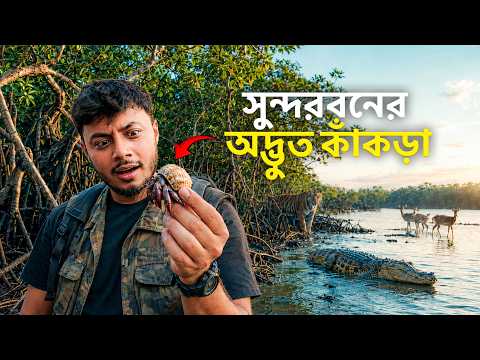 Found a Strange Crab in the Sundarbans! 🦀 | Sundarbans Tour