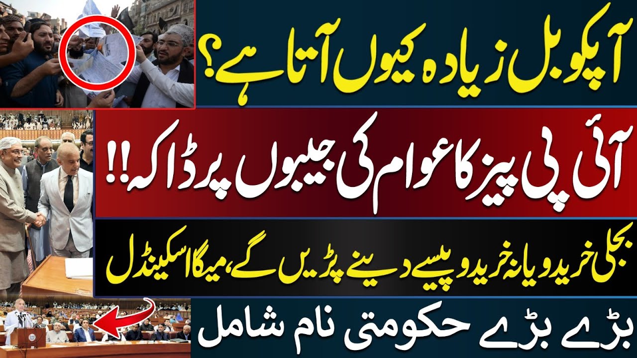 Strict Contracts With IPPs Who Are The Real Owners Of IPPs strict-contracts-with-ipps-who-are-the-real-owners-of-ipps
