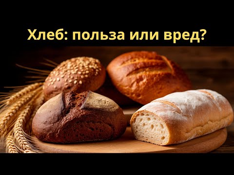 Хлеб всему голова: мифы и правда о главном продукте