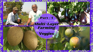 Multi-Layer Farming (veggies) : Explained | Part - 1