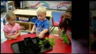 These young children explored the wonderful world of gardening and allowed me to be a part of their amazing discoveries! // 