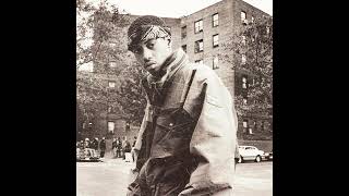 Old School 90S Nas Type Beat X Boom Bap Instrumental - Hard Mission