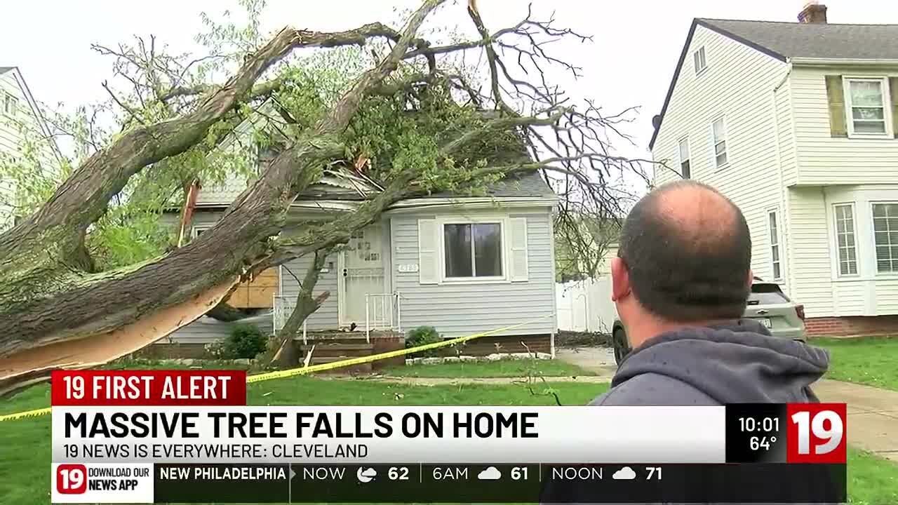 Massive tree falls onto home on Cleveland’s West Side - YouTube