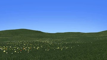 Field Test - Testing a wind effect on LightWave Instanced Grass