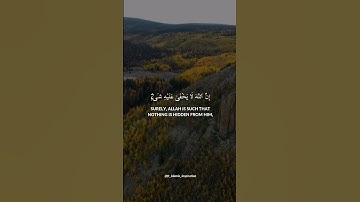 آيات - القارئ حمزة سعيد صوت ملائكي 💚 قرآن 💙 مقاطع فيديو ايات قرآن 💚💙💛💐