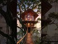 A stunning modern treehouse built high in a massive jungle tree, wooden and glass design, cozy