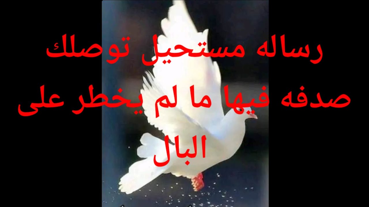 مستحيل يخطر على بالك ايه مستنيك فى الرساله افتحها هى مش صدفه أبدآ هى من وجدتك