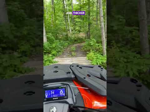 11506 S CEDAR RD, Cedar, MI home video tour