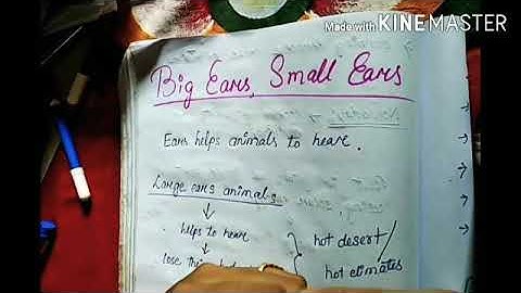 class4#EVS#Ch-7#Big ears, small ears