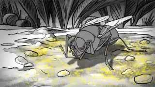 The Story of Cholera: Kirundi