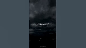 حالات واتس قران كريم | محمد صديق المنشاوي