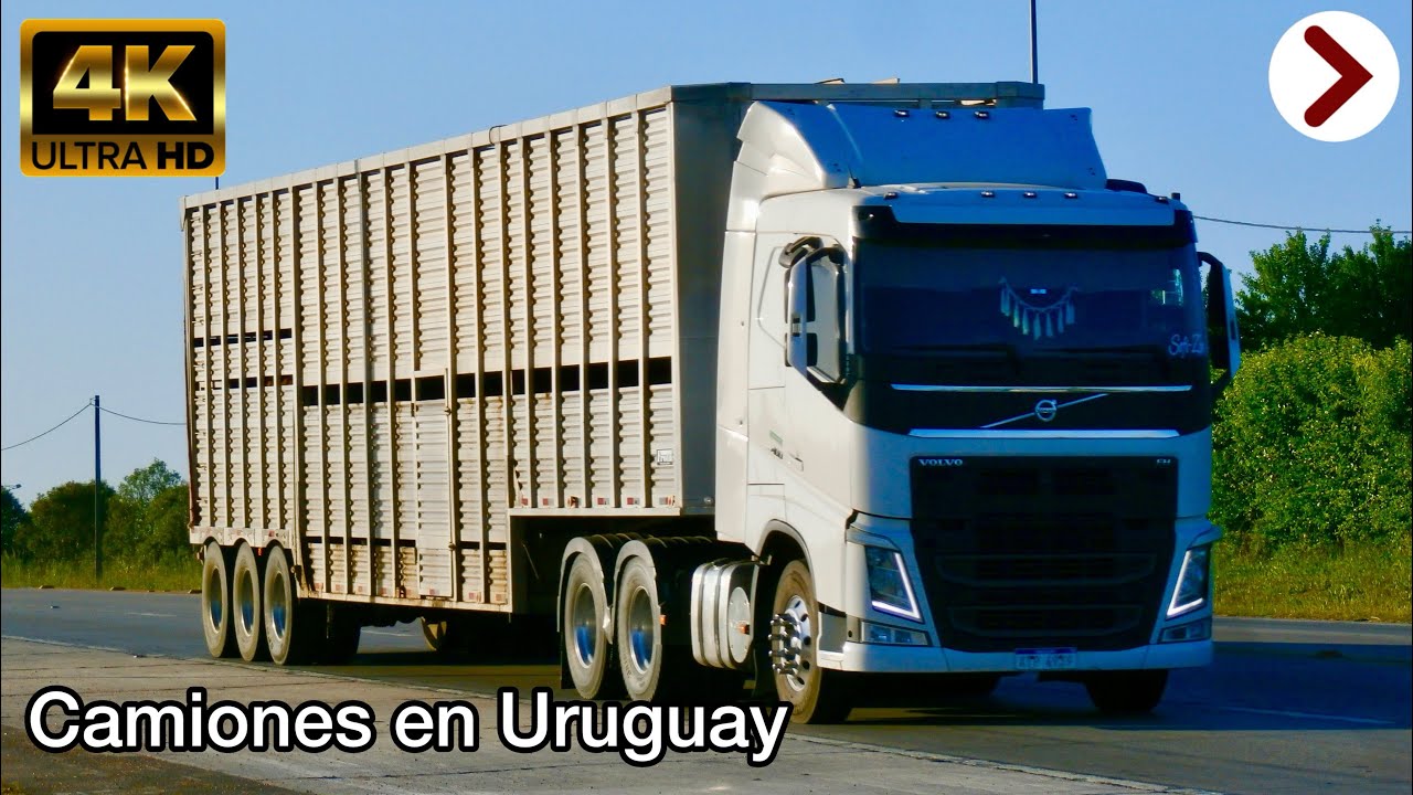 Camiones en Uruguay #3 | Transporte Uruguayo