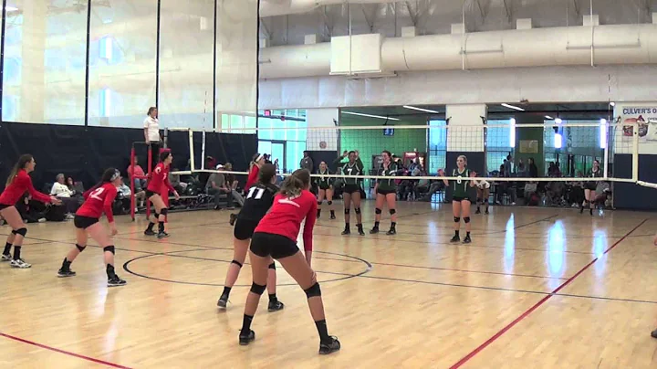 Bailey Bergquist Volleyball 2014