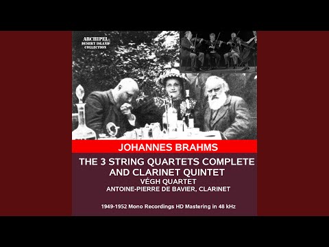 String Quartet No. 1 in C Minor, Op. 51 No. 1: II. Romanze. Poco adagio
