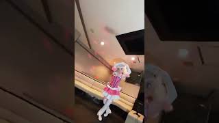 ほがらかグラインドHogaraca Grind　全肯定するうららAll Affirmative Urara