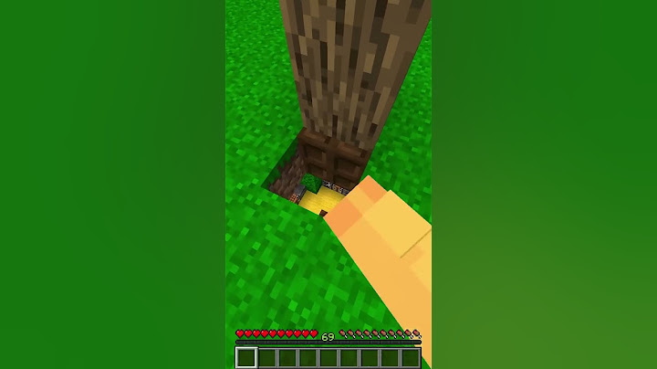 LA FISICA SU MINECRAFT NON ESISTE...