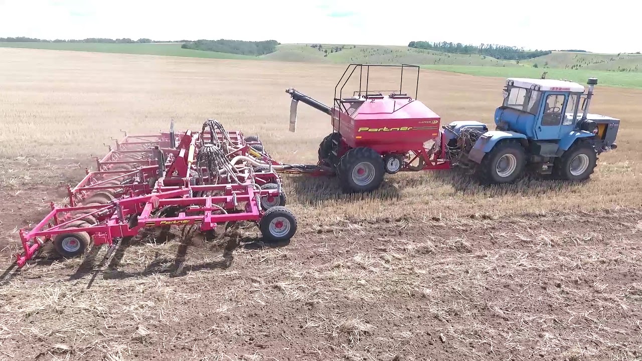 Semanat in sah sau pe toata suprafata direct pe miriste!!!