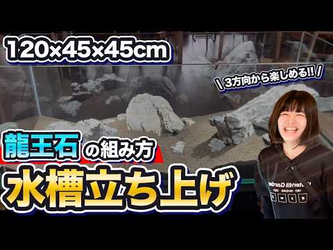 Aquarium Installation in a Restaurant | Complete Explanation of