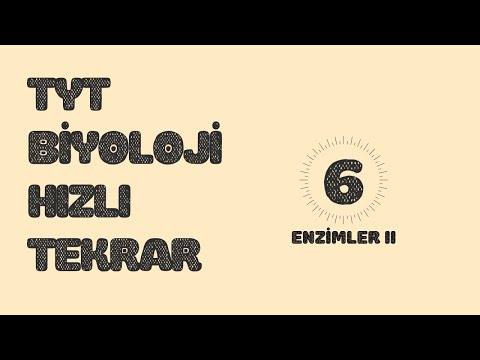 TYT BİYOLOJİ HIZLI TEKRAR- 6