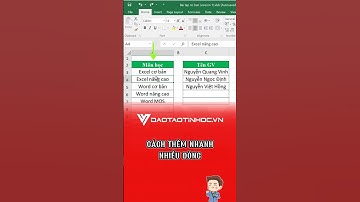 Cách thêm nhanh nhiều dòng trong Excel #daotaotinhoc #excel #tinhocvanphong #exceltips