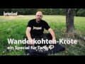 Beginning of video