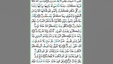 صفحة/٢٨٠/ رواية ورش عن نافع/ سورة النحل/ ابو النور الهادي