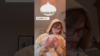 Having a parrot is pure happiness.#Parrot #ParrotLove #PetParrot #CutePets #funny#fpy#Shorts