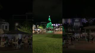 Christmas Tree, Hamilton, New Zealand.