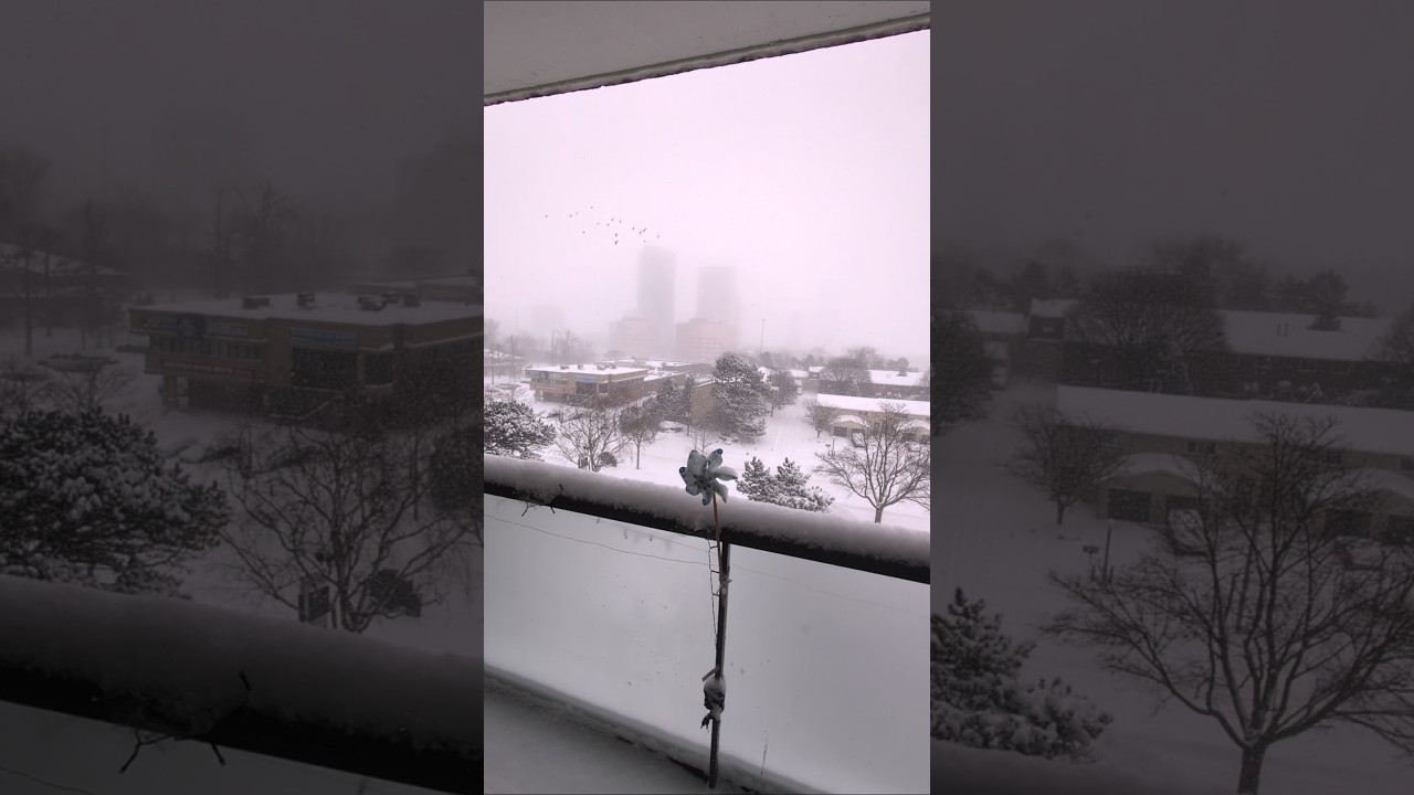 This Is Toronto After Heavy Snowfall 